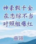 假神豪系统