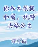你和本侯提和离，我转头娶公主在线阅读小说