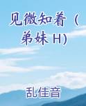 见微知着（弟妹 H）排行榜完结版